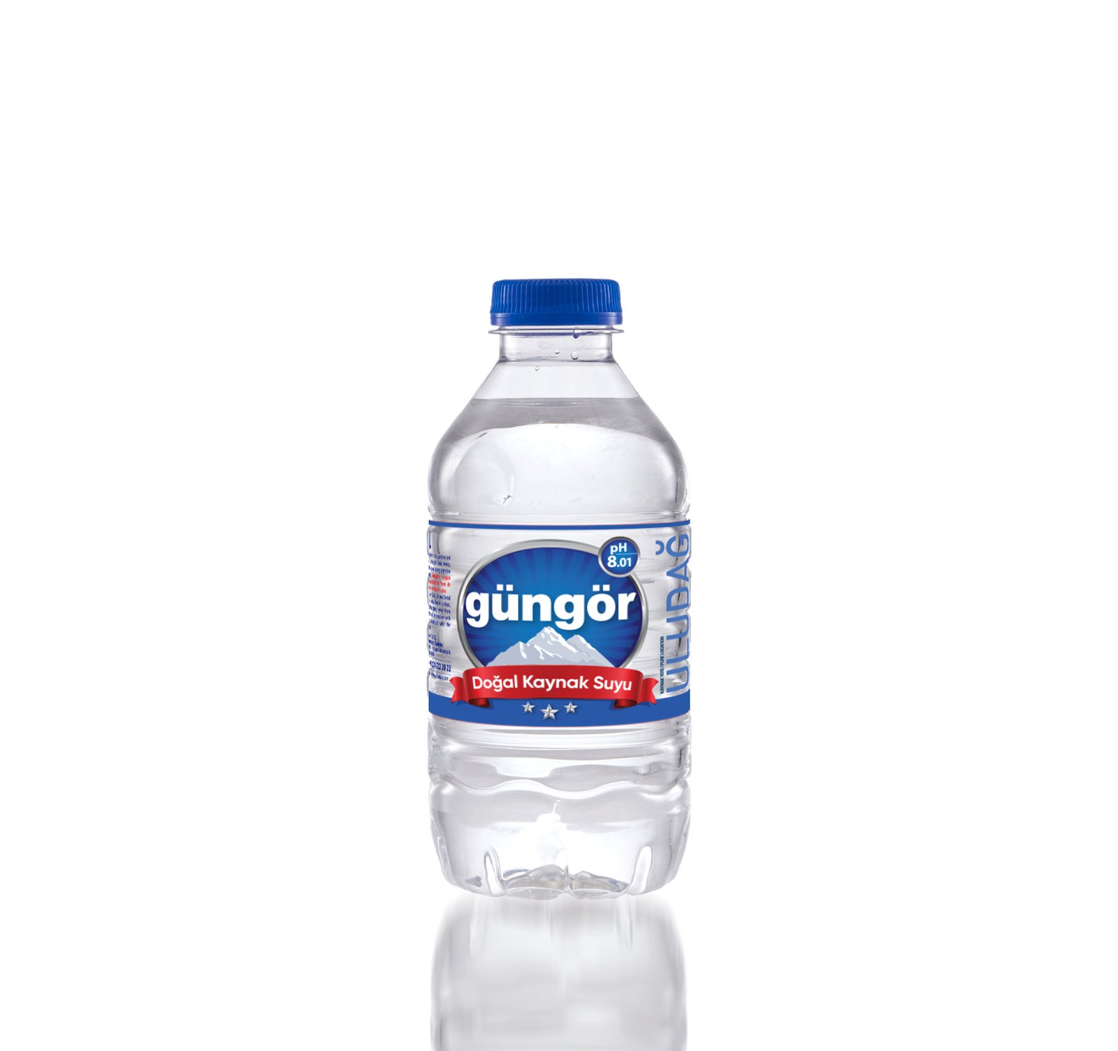 Güngör Su 250 ml Pet